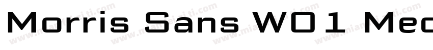 Morris Sans W01 Medi字体转换